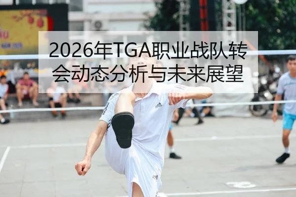 2026年TGA职业战队转会动态分析与未来展望