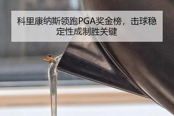 ke-li-kang-na-si-ling-pao-jiang-jin-bang-ji-qiu-wen-ding-xing-cheng-zhi-sheng-guan-jian-3-397.jpg